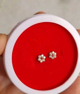 Beautiful New Shaining Stone Studs