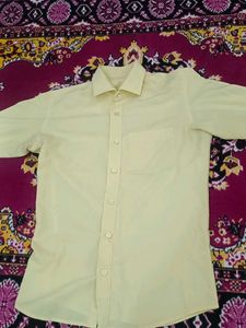 3shirts (L)