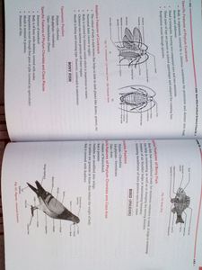 Science Practical (Class-9)