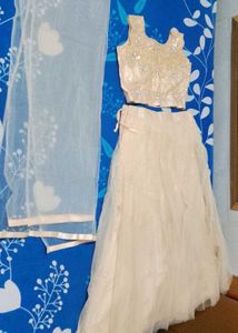 Peach Indo Western Style Lehenga For Womens