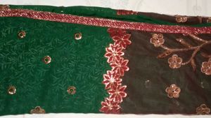 Green Embroidered saree