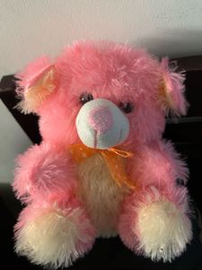 Pink Teddy Bear