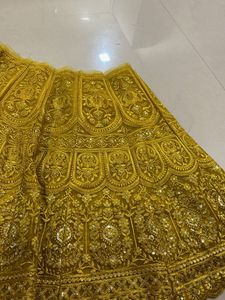 Gorgeous Gold Embroidered Skirt
