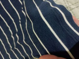 Blue Striped Crop Top