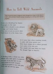 Combo Of First Flight And Footprint Without Feet