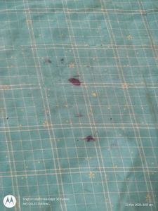 Used Poonam Saree