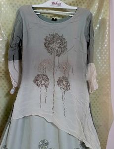 Pitta Silver Very Beautiful Long Gown