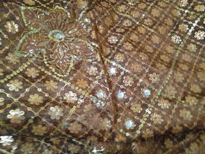 Super Stylish Bollywood Saree