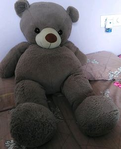 Big Broun Teddy