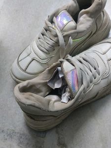 Sneaker Shoes
