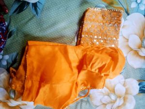 Designer Sleeve Blouse