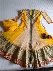 Ethnic Gowns