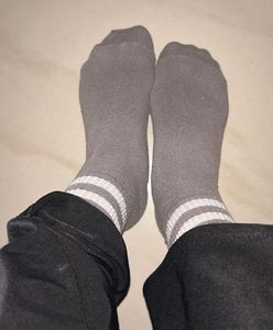 Miniso Socks (Combo of 6)