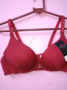 New with tag Elegant Maroon Bra