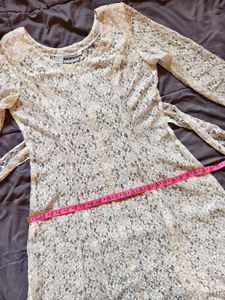 Vintage Sheer Lace Dress