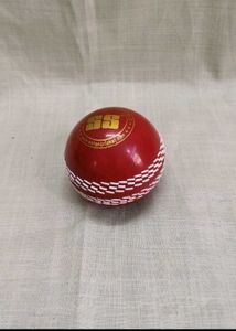 SS Cricket Ball