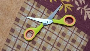 Anjali 4-Piece Knife &amp; Peeler Set