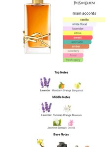 YSL Libre