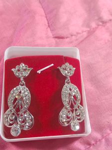 Sparkling Silver Earrings