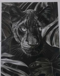 Handmade Drawing  Of Wildlife Leapord.