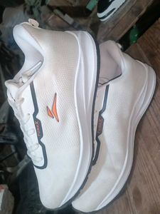 TURNX White Sports Shoes