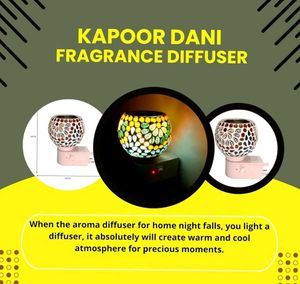 Electric Kapoor Dani