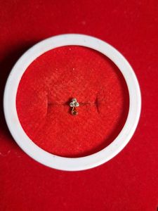 Nose Pin Gold Shaining stone