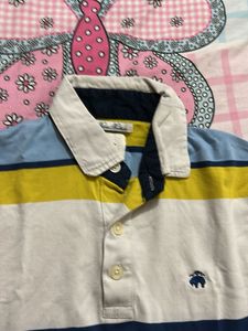 Striped Polo Shirt