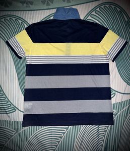 Striped Polo T-Shirt