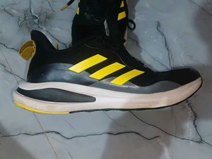 💎 Adidas Shoes 💎