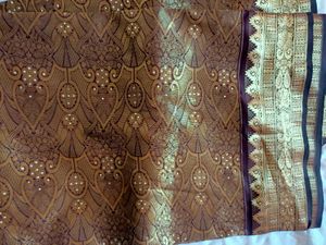 Elegant Brown &amp; Gold Saree