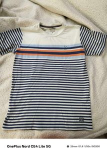 Combo Of 3 Cotton T Shirts