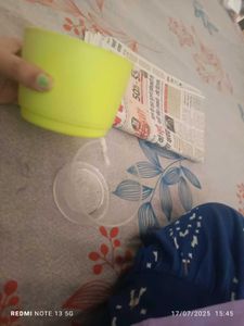 Self Water Plant Pot