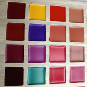 Brand New Delanci Lip Palatte