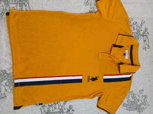Branded Polo T Shirt For Boys 8/9