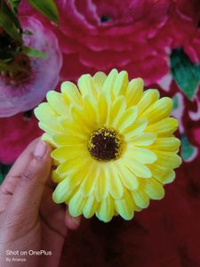 Woman Flower Yellow &amp; Red Clip 💛♥️