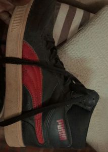 Original Puma Shoes For Mens