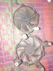 Fan