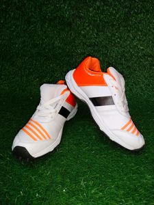 HITMAX CRICKET SHOE FOR MEN UK SIZE (8)