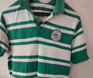Striped Green Polo Shirt