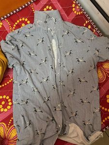 Men&#39;s Olive Green Pants