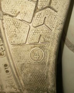 White School Shoes
