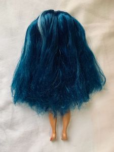 rainbow high skyler Doll