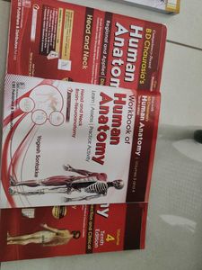 BDC anatomy volume 3and4 Neuroanatomy,Headandneck