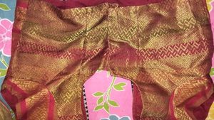 Organza Multicolored Saree