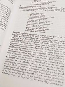 Rare Book: A critical History Of English Literatur