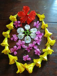 Combo Four Flowers Plants