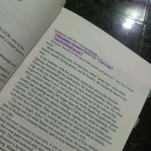 Heated Rivalry by Rachel Reid