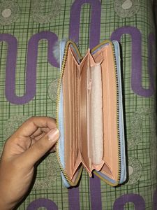 Beautiful Women Purse