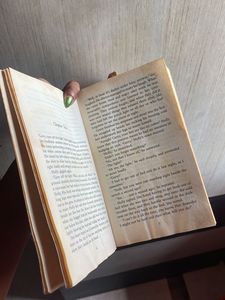 “P.S. I Love You” by Cecelia Ahern
